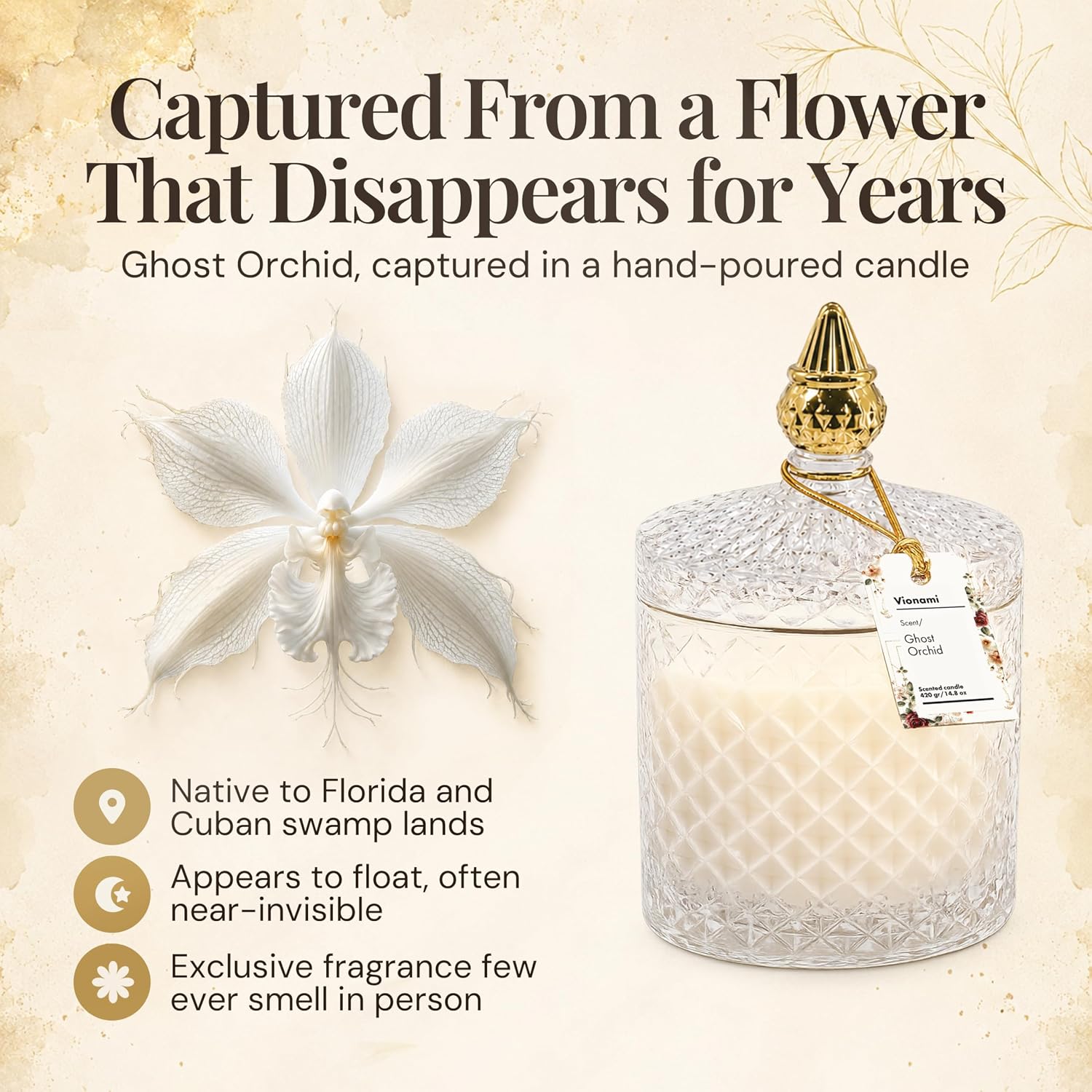 Ghost Orchid Scented Candle in Glass Jar