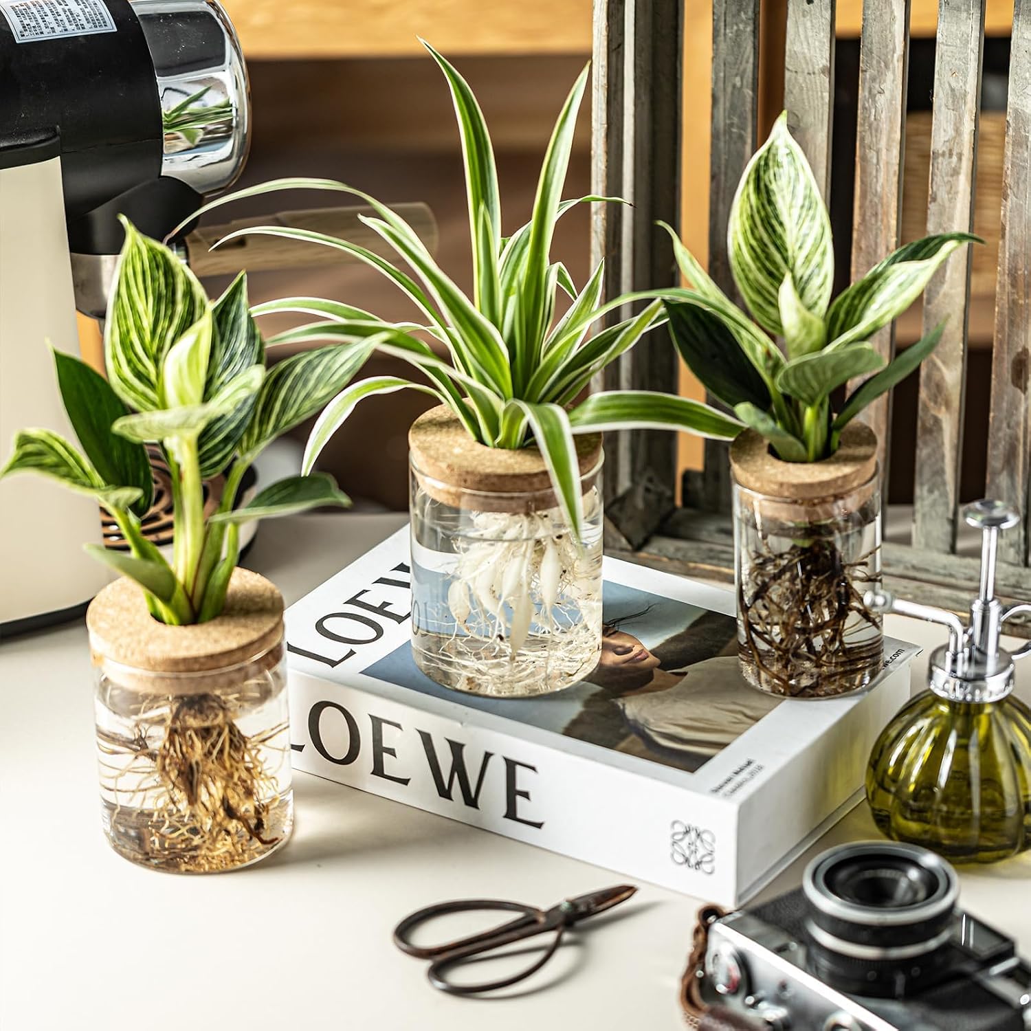 Glass Rooting Vases with Stand